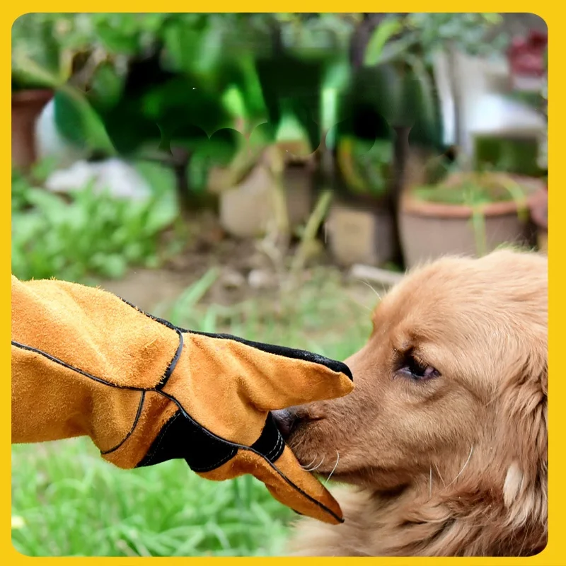 Pet Gloves Cowhide Leather Ant - огляд і ціна Leatherwork Training