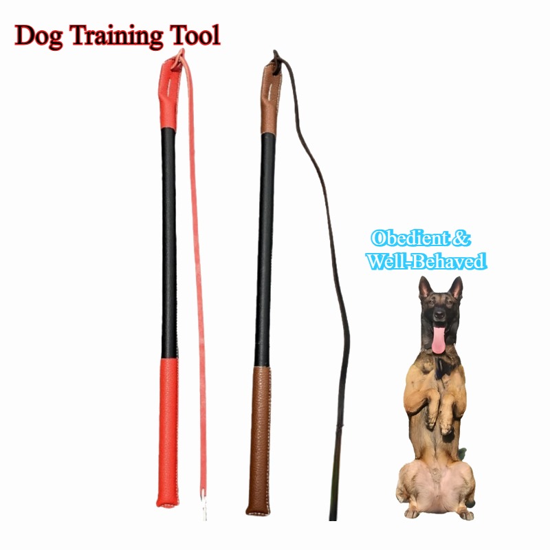 Leather Crack Whip - Dog Train - огляд і ціна Leatherwork Training