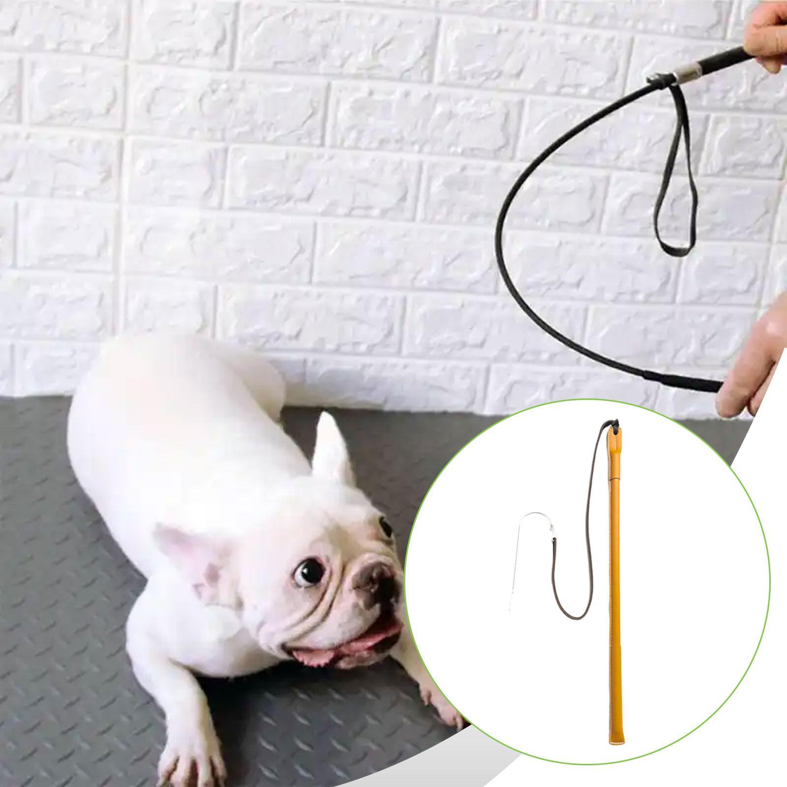 Wear Resistant PU Leather Dog  - огляд і ціна Leatherwork Training