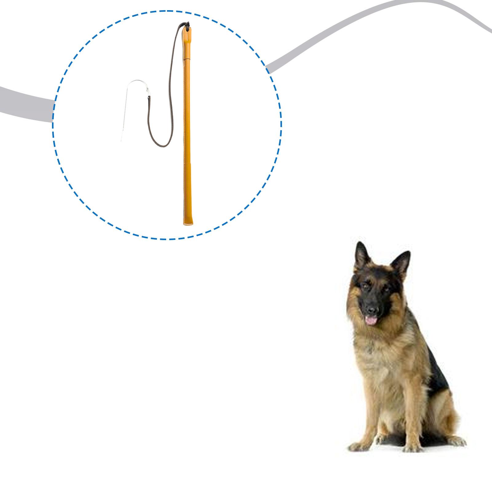 Wear Resistant PU Leather Dog  - огляд і ціна Leatherwork Training